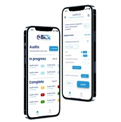 Software as a Service Software as a Service
