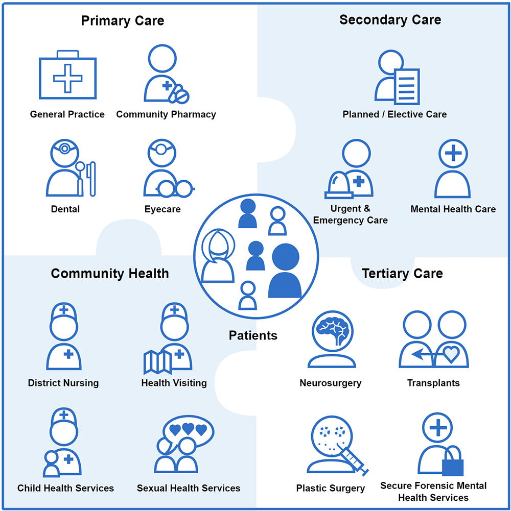 NHS Healthcare ecosystem explained infographic