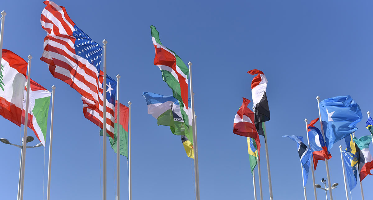 flags flying from around the world